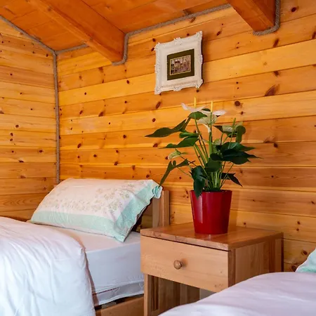 Bee Eco Guest House Moll' e Shoshit Esterno foto