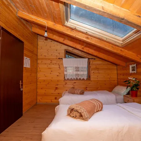 Bee Eco Guest House Moll' e Shoshit Esterno foto
