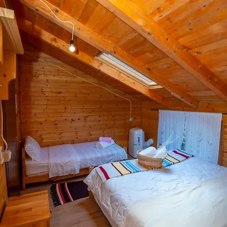 Bee Eco Guest House Moll' e Shoshit Esterno foto