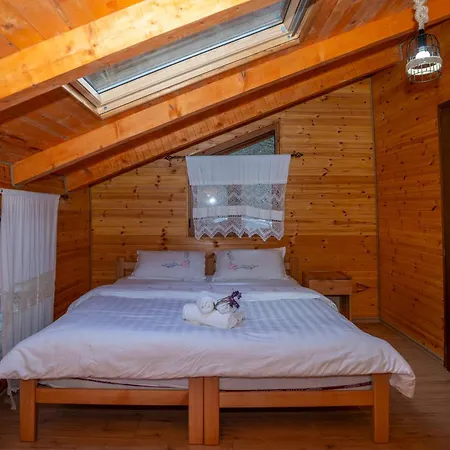 Bee Eco Guest House Moll' e Shoshit Esterno foto