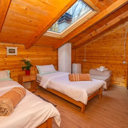 Bee Eco Guest House Moll' e Shoshit Esterno foto