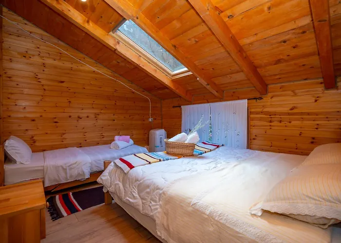 Bee Eco Guest House