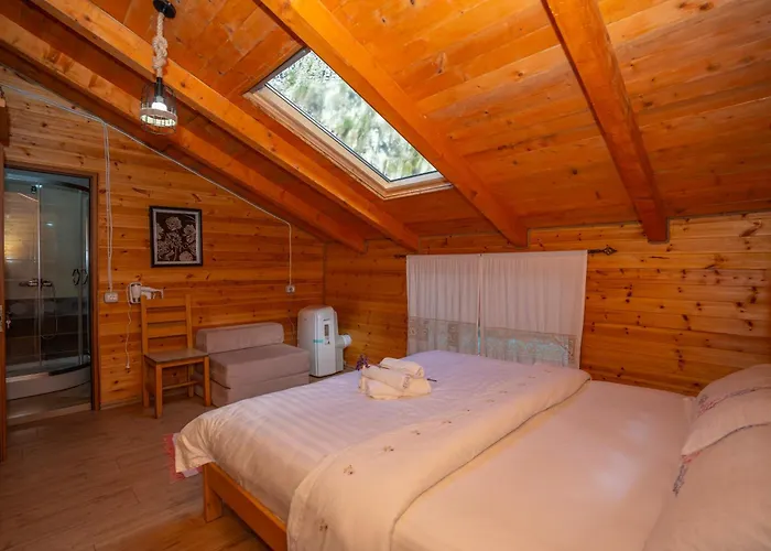 Bee Eco Guest House