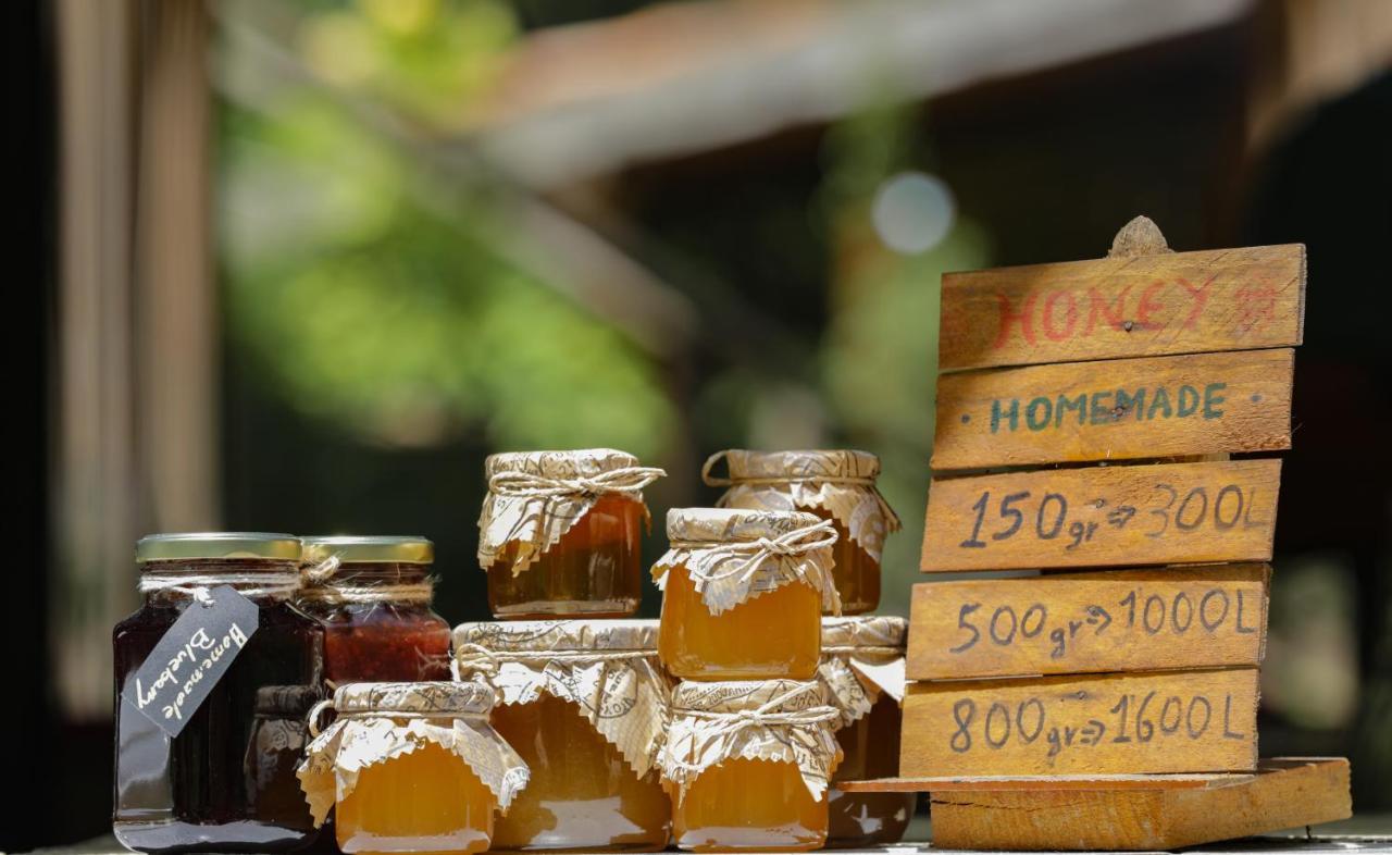 Bee Eco Affittacamere